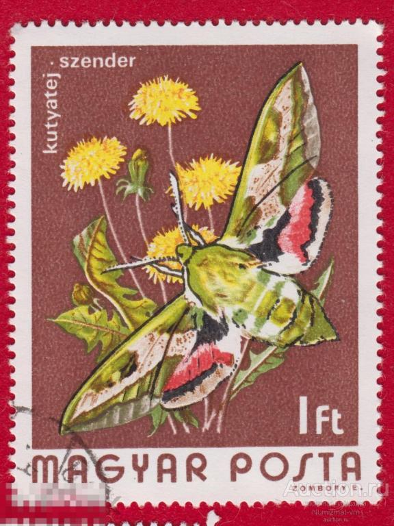 Марка Венгрия 1974 год. Eulepidotis rectimargo мотылек из семейства Erebidae, Молтыльки.Бабочки