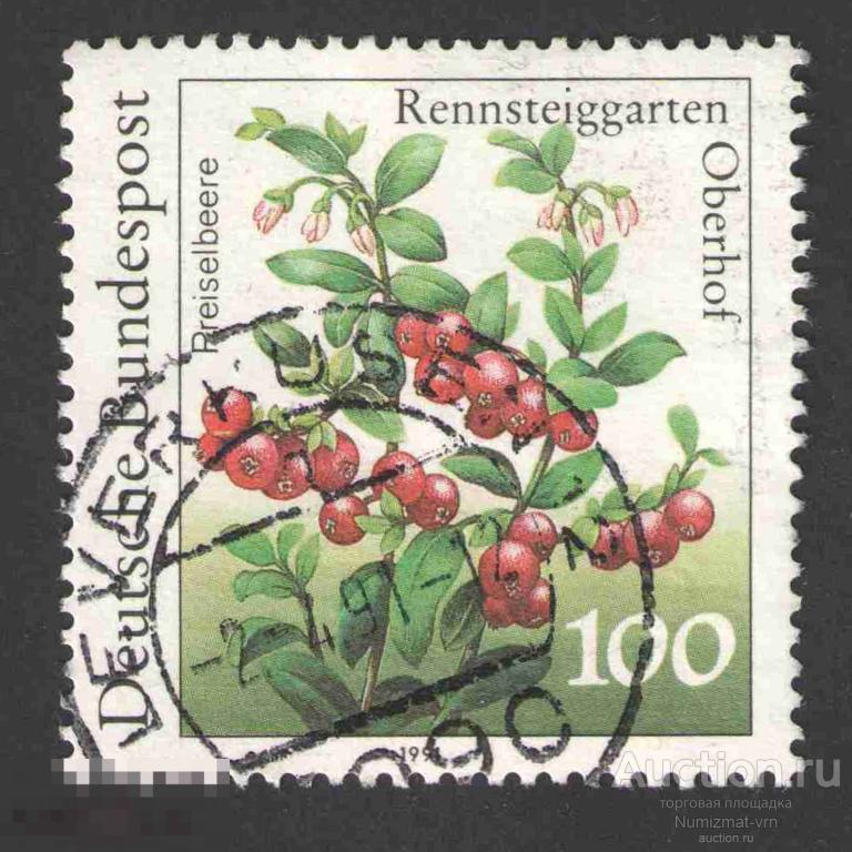 Марка Германия 1991 год. Клюква — подрод группа цветковых растений семейства Вересковые Ягоды фрукты