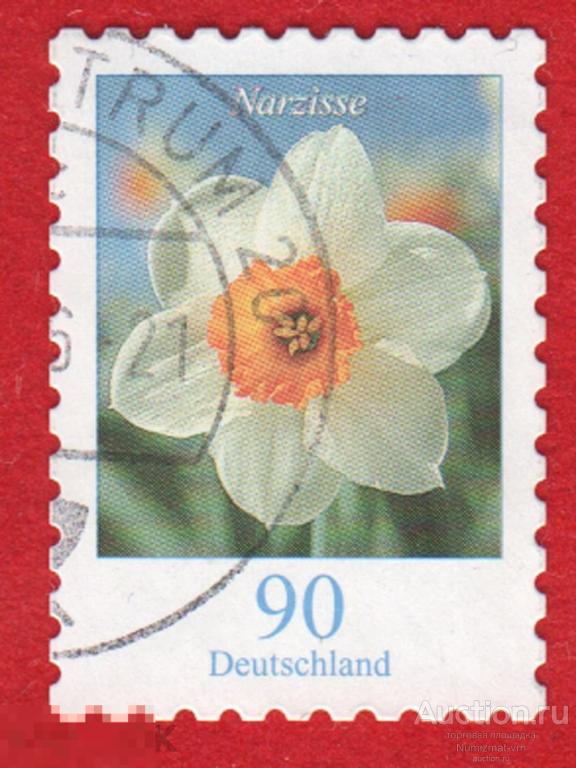 Марка Германия 2006 год. Нарци́сс — род однодольных растений Цветы. Цветок семейства амариллисовых