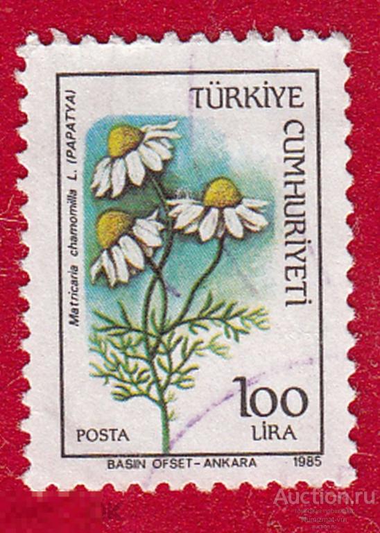 Марка Турция 1985 год. Ромашка лекарственные растения.  Цветы Цветок