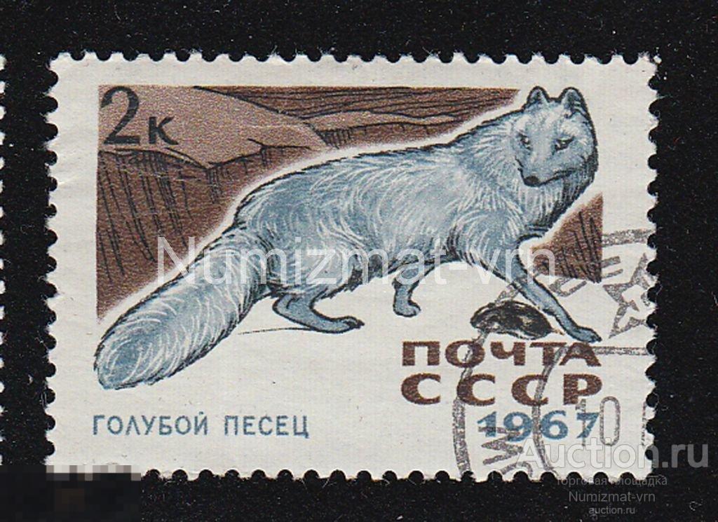 Марка СССР 1967 г. Голубой песец. Редкие животные. Млекопитающие. Исчезающие животные