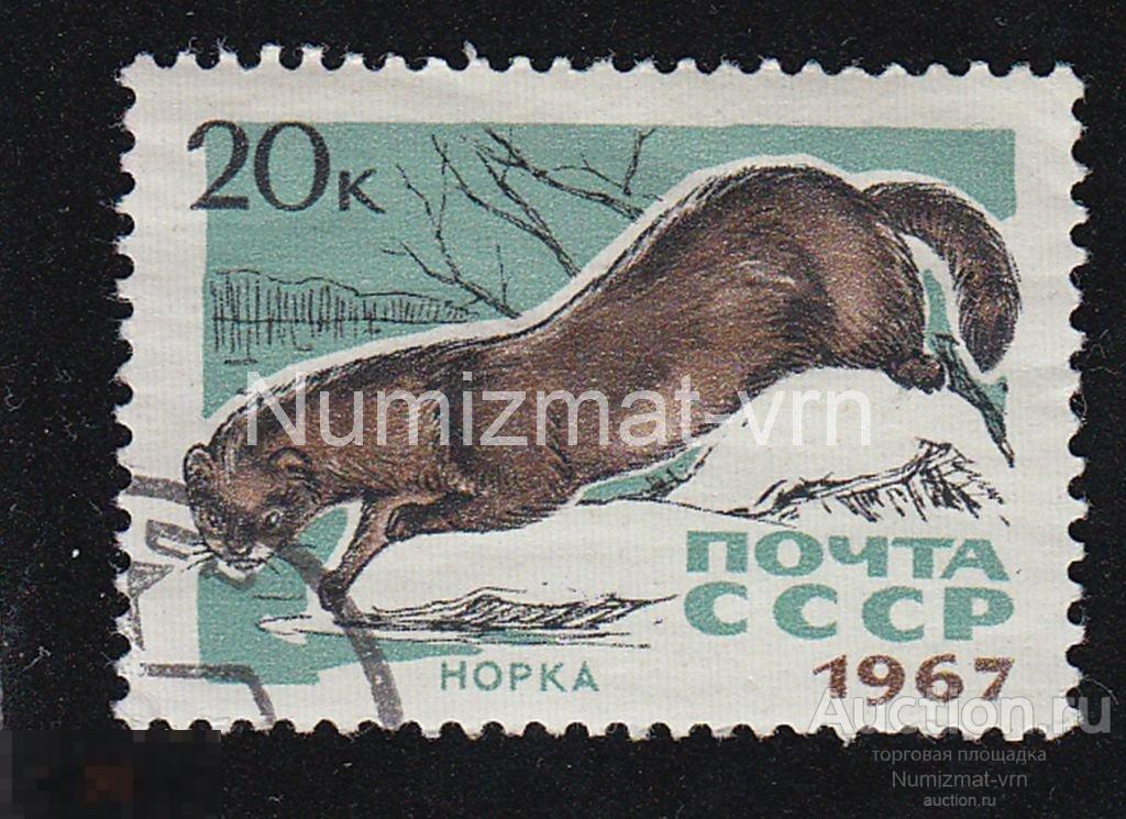 Марка СССР 1967 г. Норка. Редкие животные. Млекопитающие. Исчезающие животные