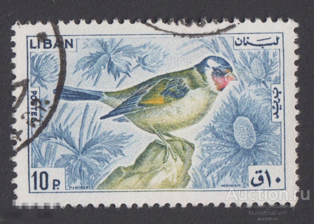 Марка Ливан 1965 год. Европейский щегол Carduelis carduelis Певчая птица семейства вьюрковых Птицы
