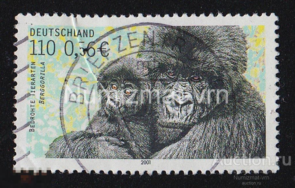 Марка Германия 2001 г. Обезьяны. Редкие животные. Млекопитающие. Исчезающие животные. Приматы.-2