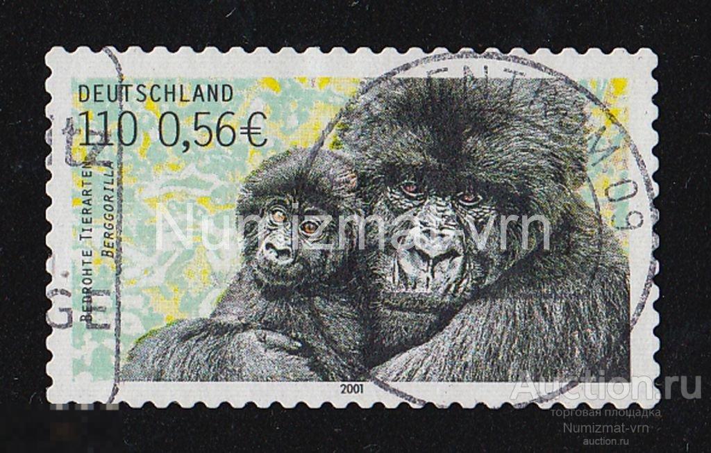 Марка Германия 2001 г. Обезьяны. Редкие животные. Млекопитающие. Исчезающие животные. Приматы.-4