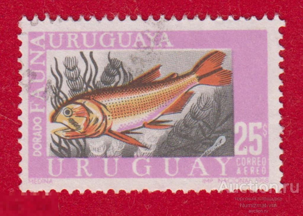 Марка Уругвай 1968 год. Золотистый спар, или дорада Отряд: Окунеобразные рыба рыбы