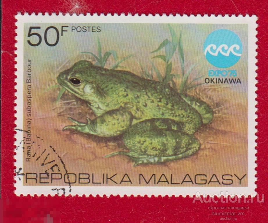 Марка Малагаси 1975 год. Оттонская лягушка, является разновидностью лягушки в семье Ranidae.лягушки
