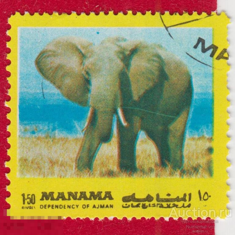 Марка Манама Аджман 1974 год. Слоны. Слон. Африканский слон. Животные Африки. Редкие животные.