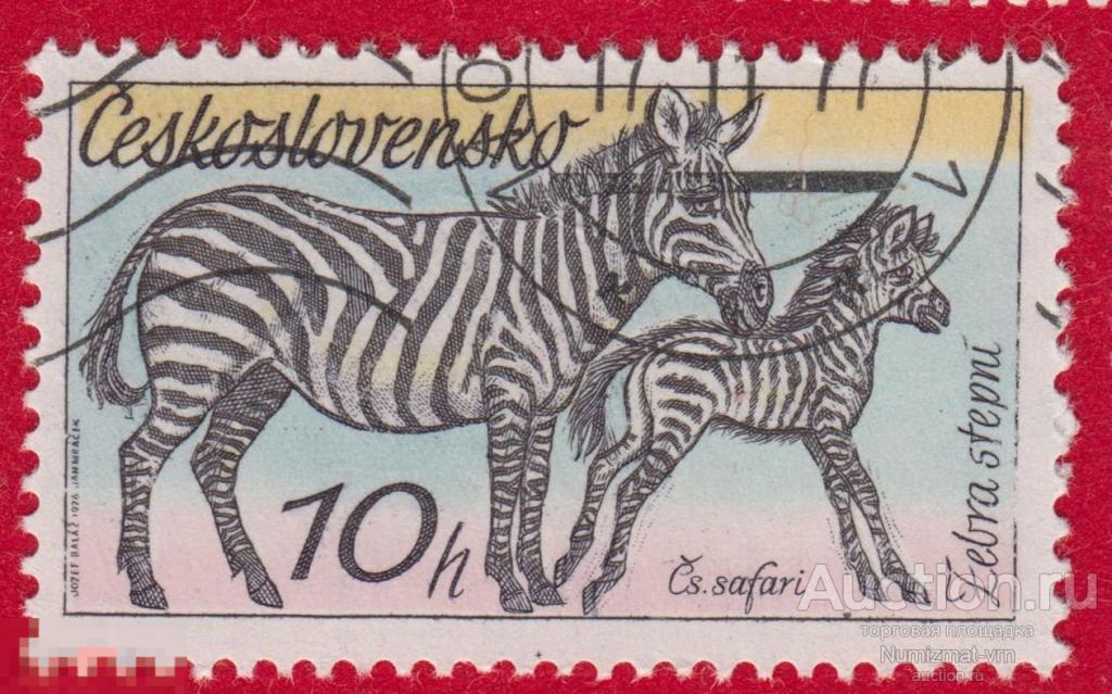 Марка Чехословакия 1976 год. Зебра. Зебры. Редкие животные. Редкость.