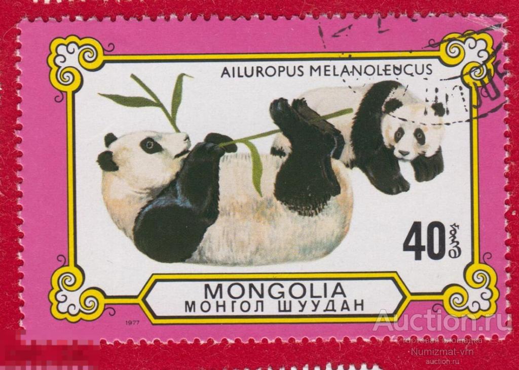 Марка Монголия 1977 год. Большая панда Вид всеядных млекопитающих из семейства медвежьих. Панды
