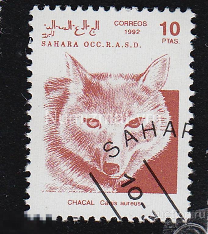 Марка Западная Сахара 1992 г. Шакал. Хищные животные . Редкие животные. Млекопитающие.