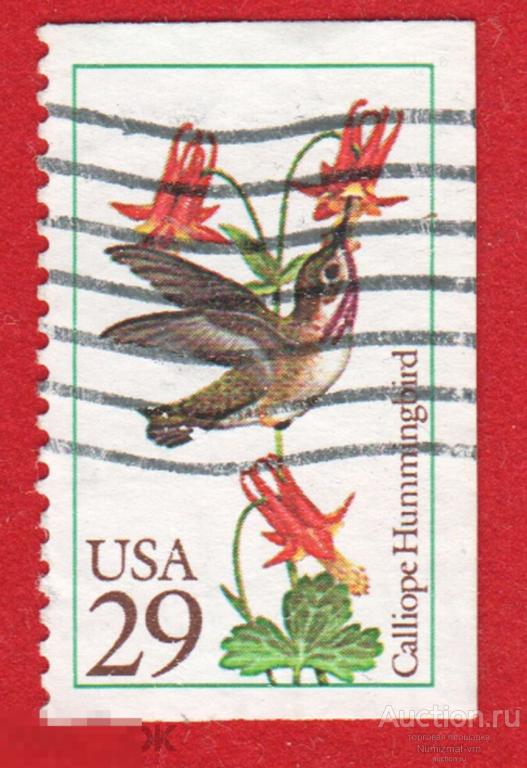 Марка США 1977 год. Колибри-каллиопа Птица семейства колибри. Птицы Редкая! 