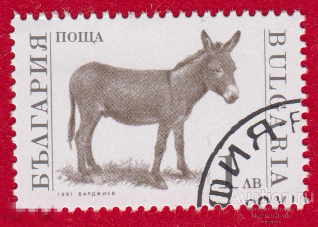 Марка Болгария 1991 год. Домашний осёл, или ишак. Ослик Редкость.
