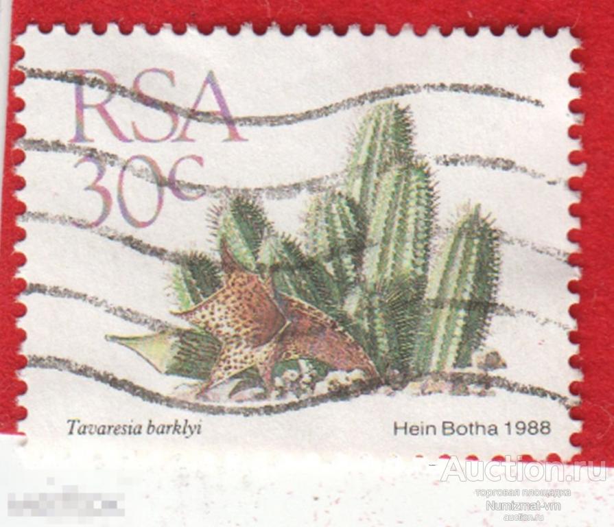 Марка ЮАР 1988 год. Tavaresia barklyi Кактусы. "Дьявольская труба" Цветы кактуса. Цветущий