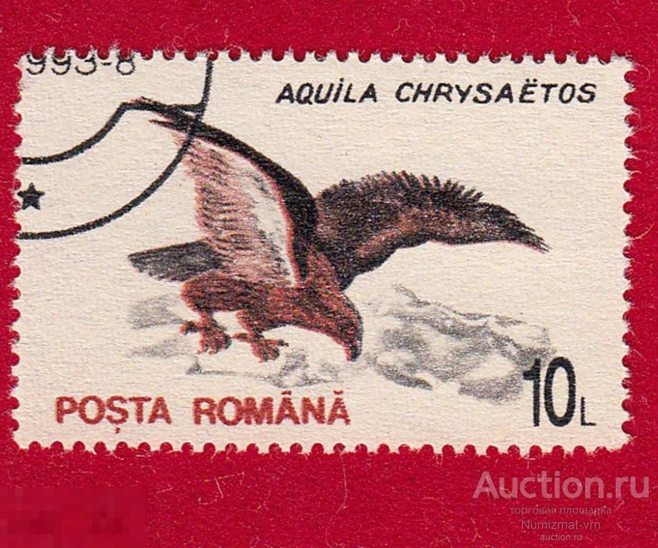 Марка Румыния 1993 год. Беркут хищная птица семейства ястребиных. Хищные Птицы