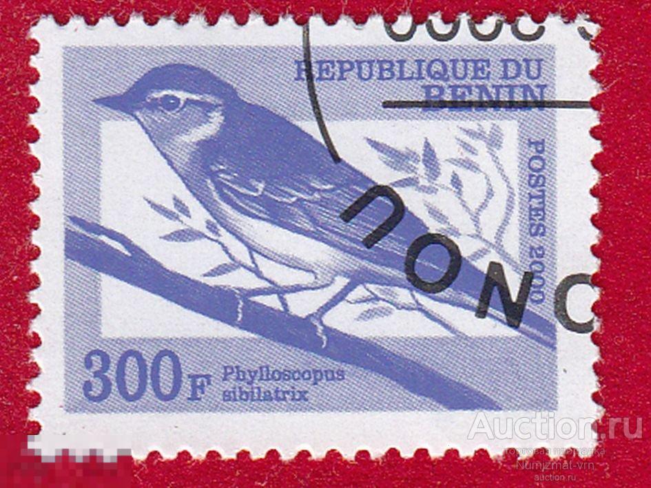 Марка Бенин 2000 год. Пеночка-трещотка Певчая птица из семейства славковых.  Птицы
