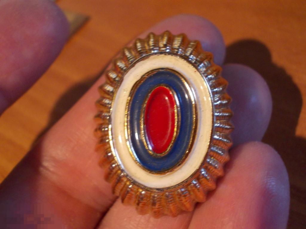 КОКАРДА МВД РФ, России. ПЛАСТИК, милиция, ПОЛИЦИЯ, пластмассовая, ОРЕХ (1) 