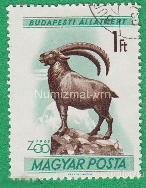 Марка Венгрия 1961 г Зоопарк Будапешта. Козел. Животные зоопарка. Козлы.