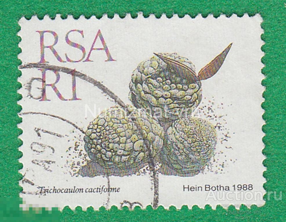 Марка ЮАР. RSA 1988 г.  Трихокаулон кактусовидный Кактус. Кактусы мира. Колючки 