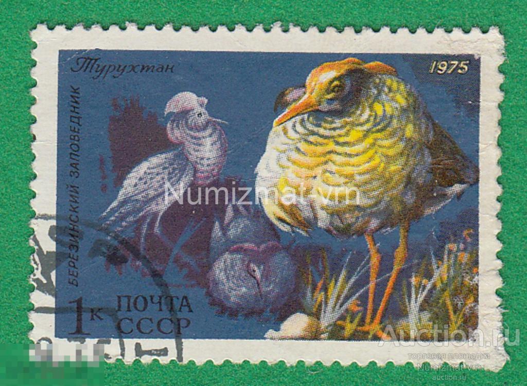 Марка СССР 1975 г. Турухтан. Певиче птицы. Птицы МИРА. Редкие птицы