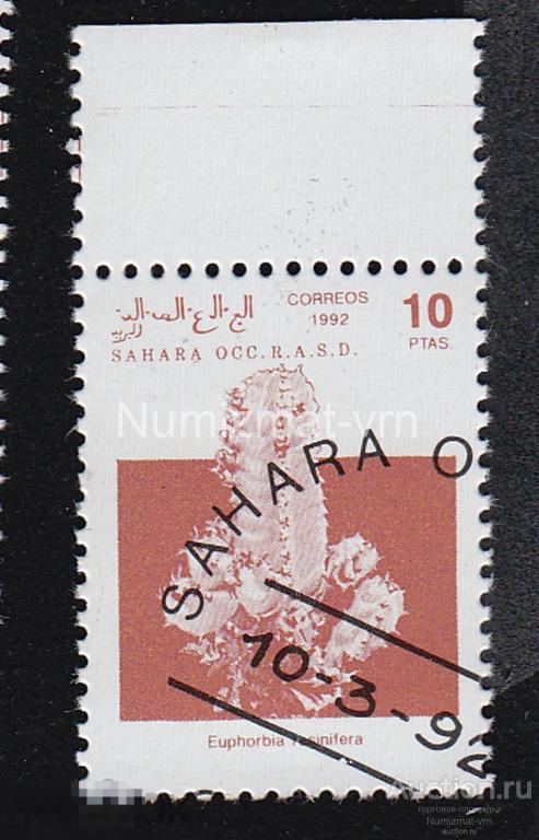 Марка Западная Сахара 1992 г.  Кактус. Кактусы. Кактусы Африки.-2