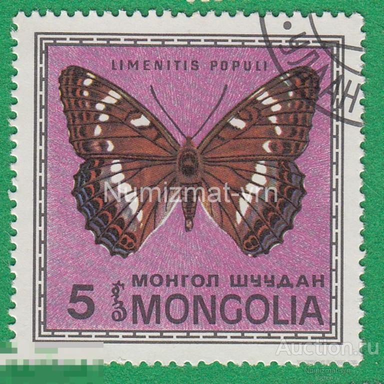 Марка Монголия. 1974 г. Бабочка. Бабочки мира. Фауна мира. Редкие бабочки. Энтомология 2