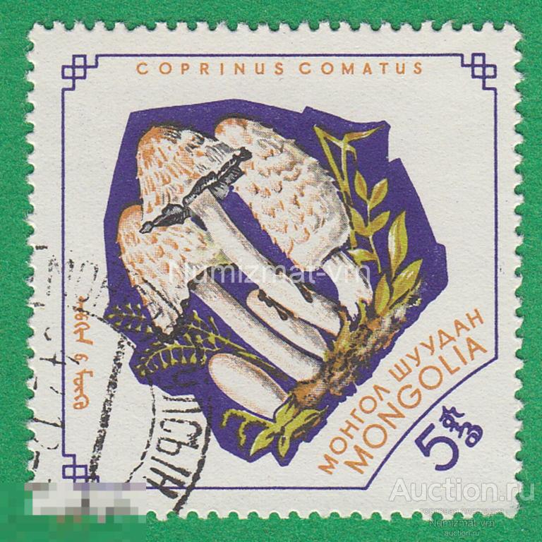Марка Монголия. 1969 г. Грибы. Редкие грибы. Ядовитые грибы. Редкие марки. Грибы мира.