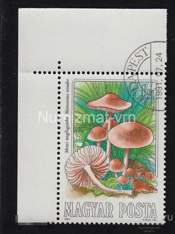 Марка Венгрия. 1991 г. Грибы. Грибы опята. Редкие марки Грибы мира.