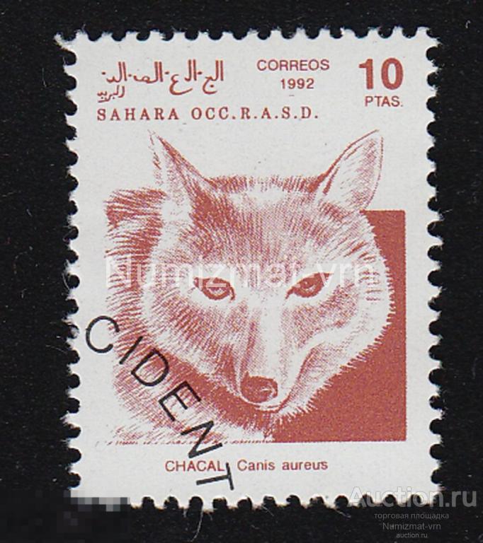 Марка Западная Сахара 1992 г. Шакал. Хищные животные . Редкие животные. Млекопитающие. 2 