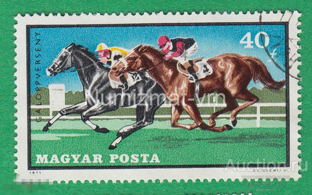 Марка Венгрия 1971 г.Скачки. Бега. Скакуны. Тотализатор. Забеги на лошадях.