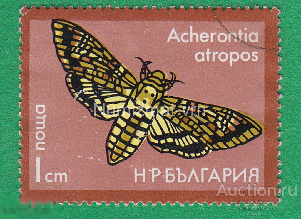 Марка Болгария 1967 г Мёртвая голова, или Адамова голова — крупная массивная бабочка