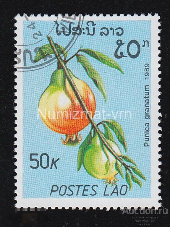 Марка Лаос 1985 г. Гранат. Цветы мира. Флора. Цветы Азии. Орхидеи