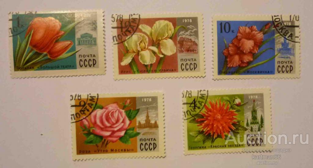 СССР НАБОР ЦВЕТЫ МОСКВЫ 5  ШТ 1978