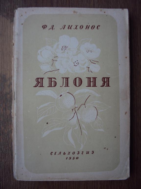 Лихонос Ф. Д. Яблоня. 1950 г.
