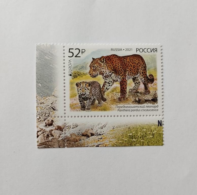 Россия. 2021 г. Переднеазиатский леопард. Чистая, угол . Загорский №2722.