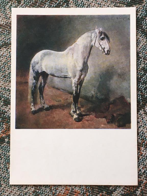 В.А.Серов. Летучий, серый жеребец орловской рысистой породы. 1973 г.