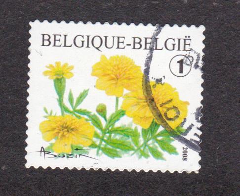 Бельгия 2008 Флора Цветы (1692)