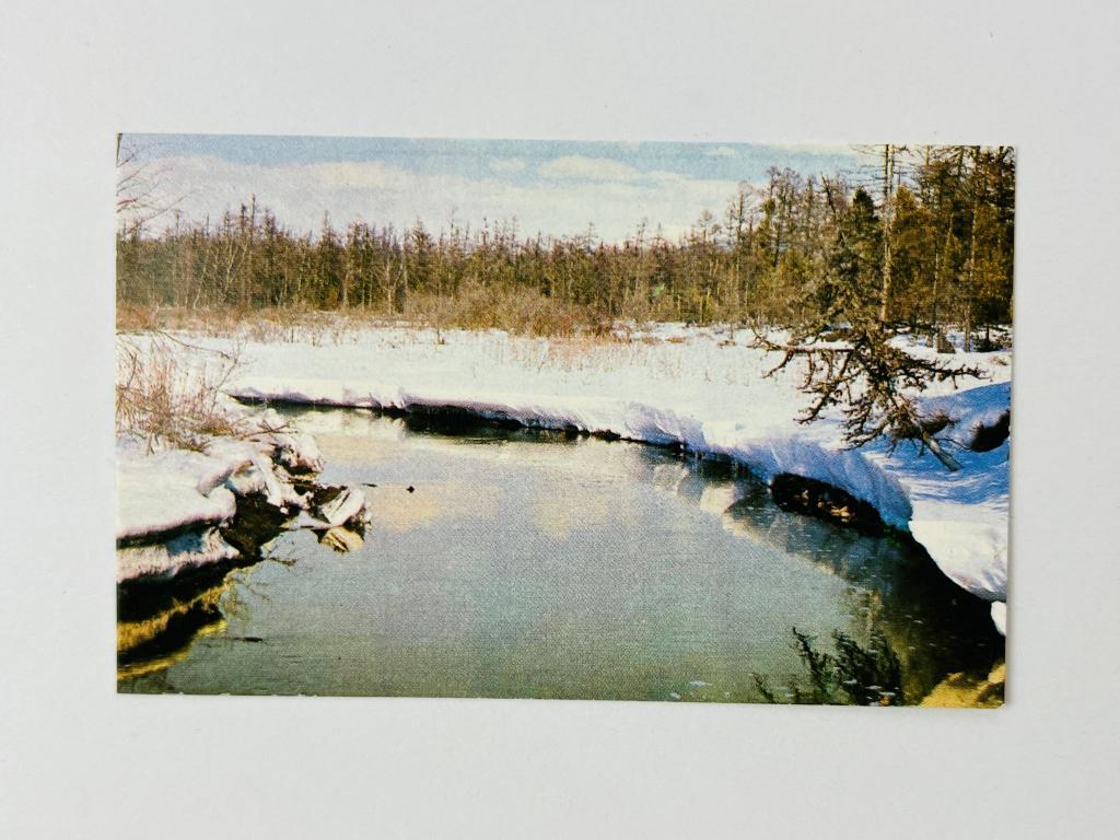 Лесная речка. 1979. Карманный календарик