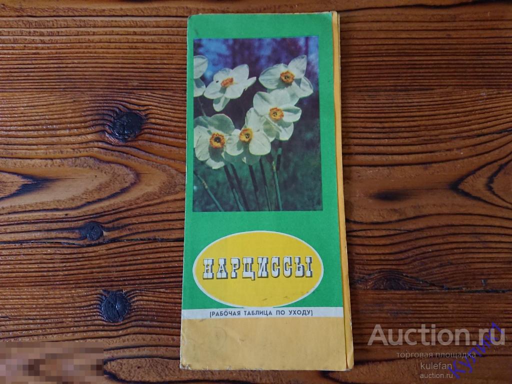 БУКЛЕТ, БРОШЮРА "НАРЦИССЫ" РАБОЧАЯ ТАБЛИЦА ПО УХОДУ 1975 г.    (231)