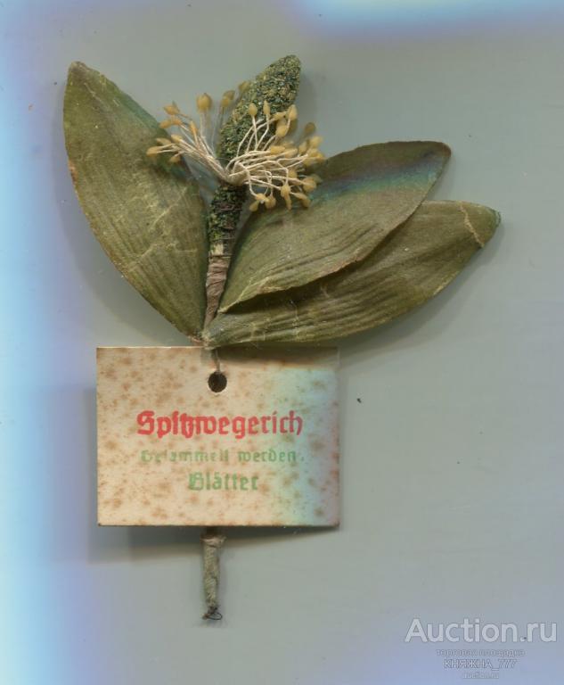 252-69.Зимняя помощь.Серия Лекарственные Травы.1941 Подорожник ланцетовидный/Spitzwegerich