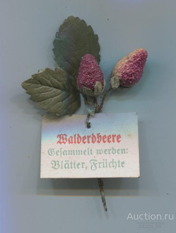 252-82.Зимняя помощь.Серия Лекарственные Травы.1941 Земляника/Wälderdbeere