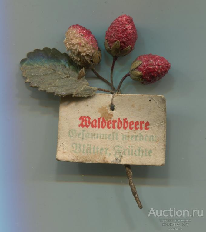 252-80.Зимняя помощь.Серия Лекарственные Травы.1941 Земляника/Wälderdbeere