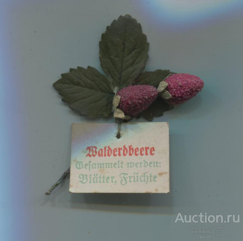 252-81.Зимняя помощь.Серия Лекарственные Травы.1941 Земляника/Wälderdbeere