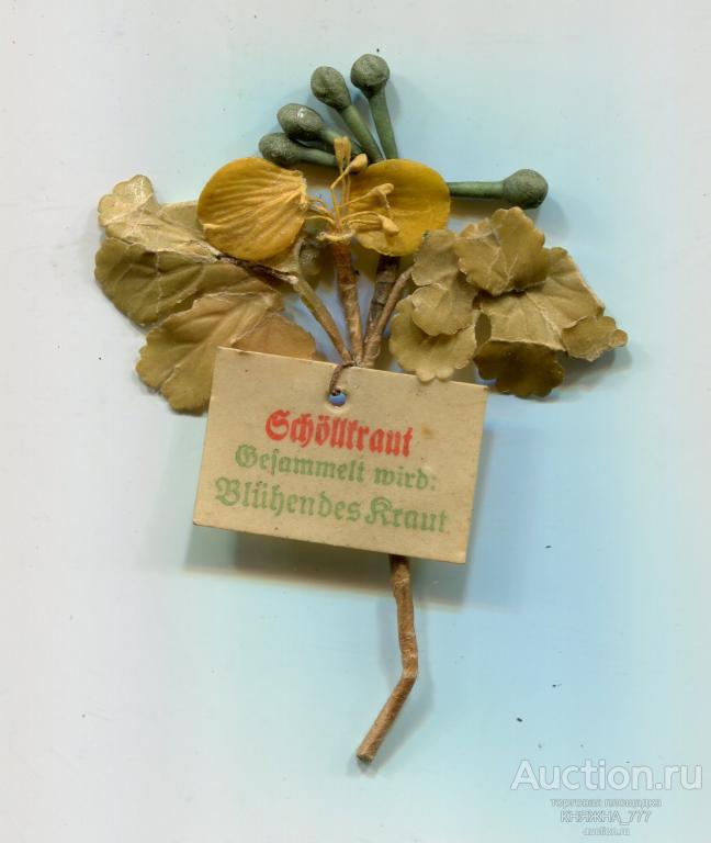 252-84.Зимняя помощь.Серия Лекарственные Травы.1941 Чистотел/Schöllkraut
