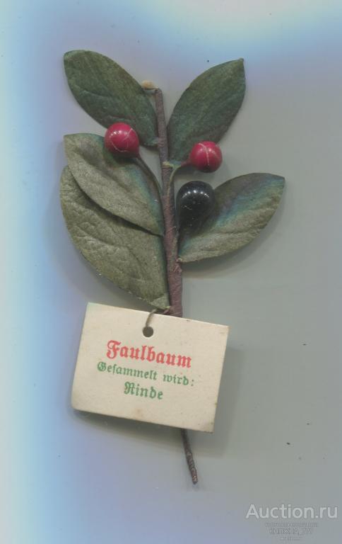 252-85.Зимняя помощь.Серия Лекарственные Травы.1941 Облепиха(Faulbaum )