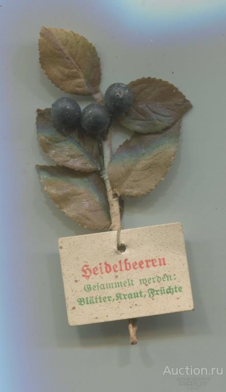 252-87.Зимняя помощь.Серия Лекарственные Травы.1941 Голубика(Heidelbeeren)