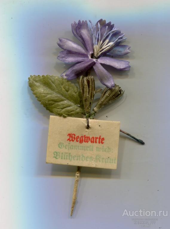 252-90.Зимняя помощь.Серия Лекарственные Травы.1941 Цикорий(Wegwarte)