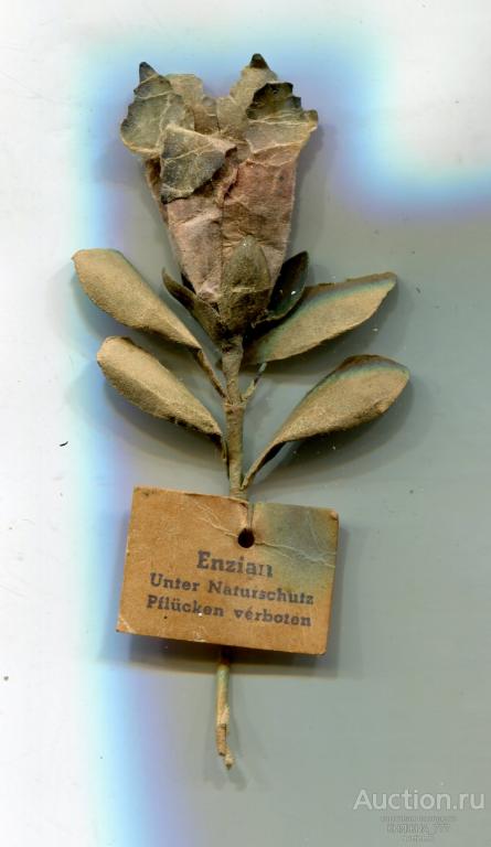 252-115 .Зимняя помощь.Природоохраняемые растения.1943г Enzian Горечавка