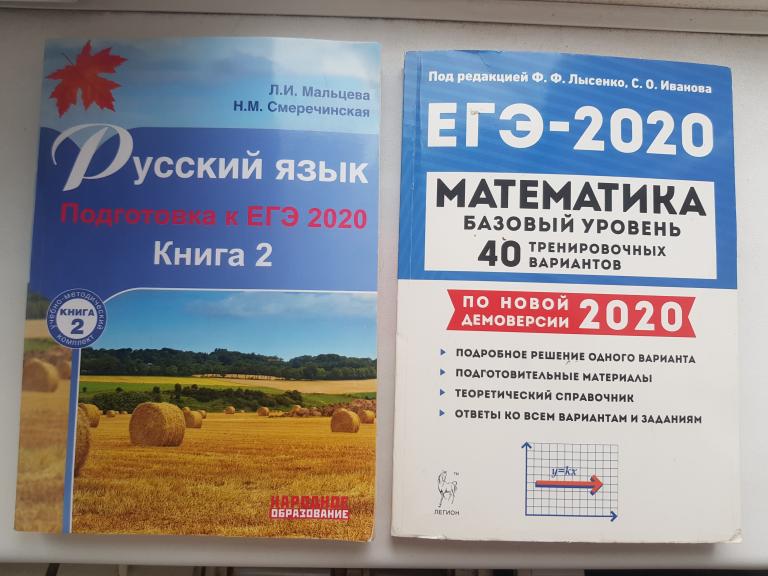подготовка к ЕГЭ русский и математика одним лотом