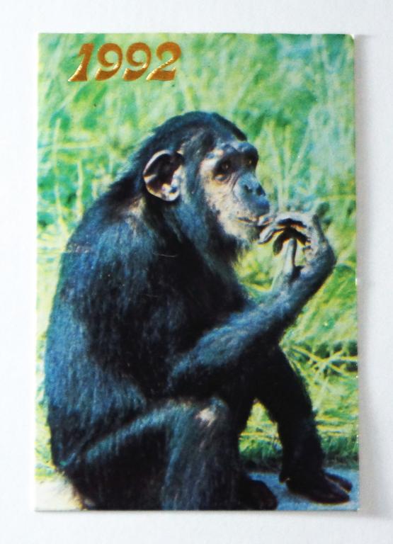 Календарь.  Обезьяна.  1992г.  ( к-14)